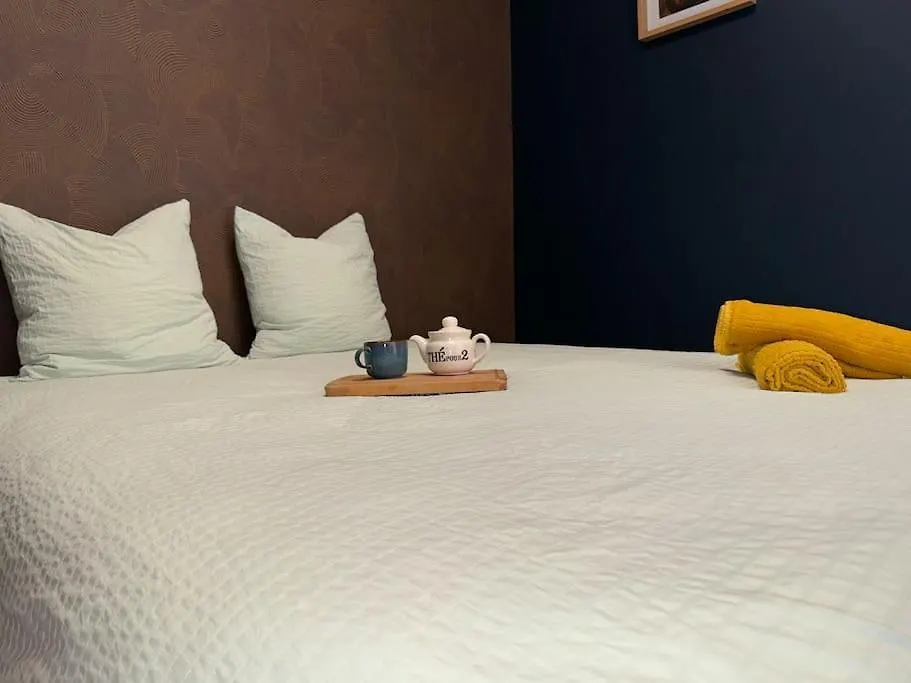 Evasion Crampel Cosy Appartement Proche Centre Toulouse Frankreich